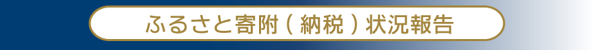 ふるさと寄附（納税）状況報告