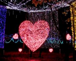 国営アルプスあづみの公園イルミネーション