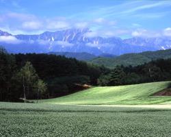 中山高原そば畑