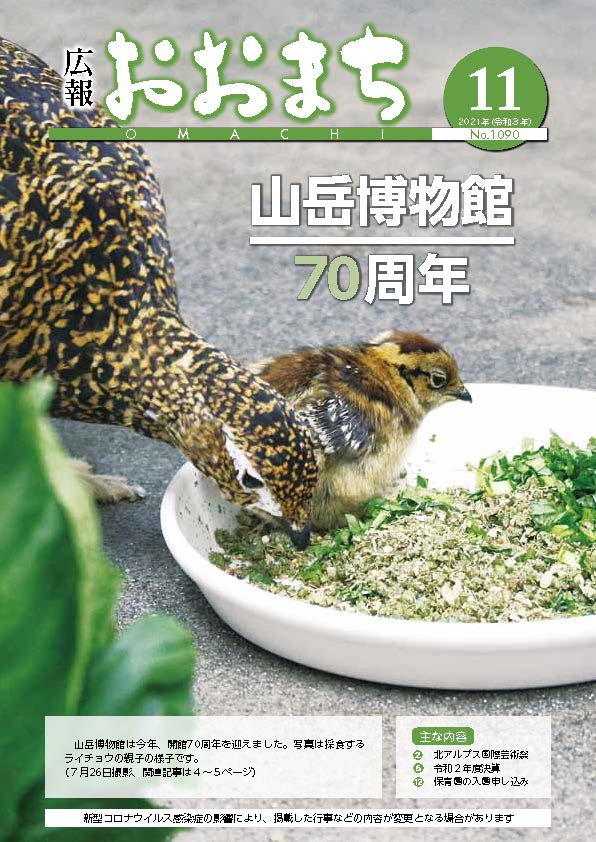 11月号