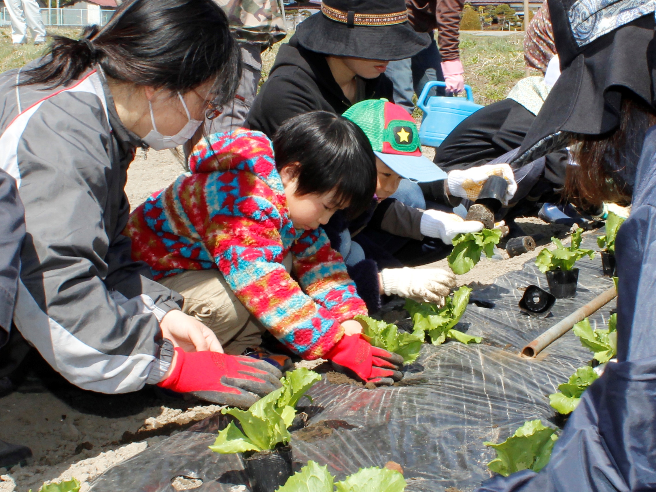 野菜づくりで旬の味わいと収穫の喜びを