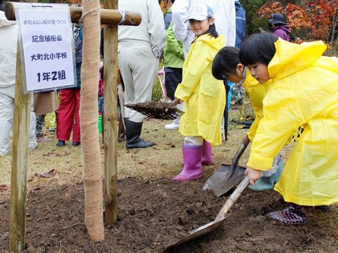 成長を願いサクラの記念植樹