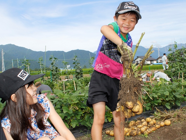 野菜づくり教室が馬鈴薯祭