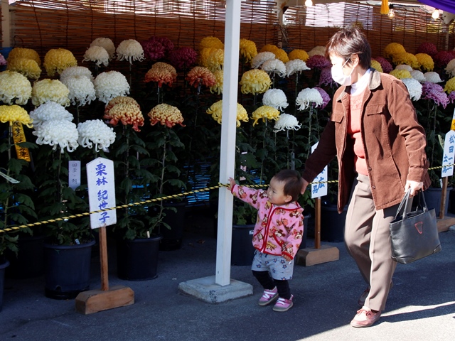 芸術文化の秋　市内各地で文化祭を開催