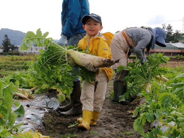 自分たちの育てた野菜を収穫祭で楽しむ　たのしい野菜づくり教室