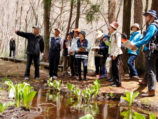 居谷里湿原で春先の花々を楽しむ　自然観察会を開催