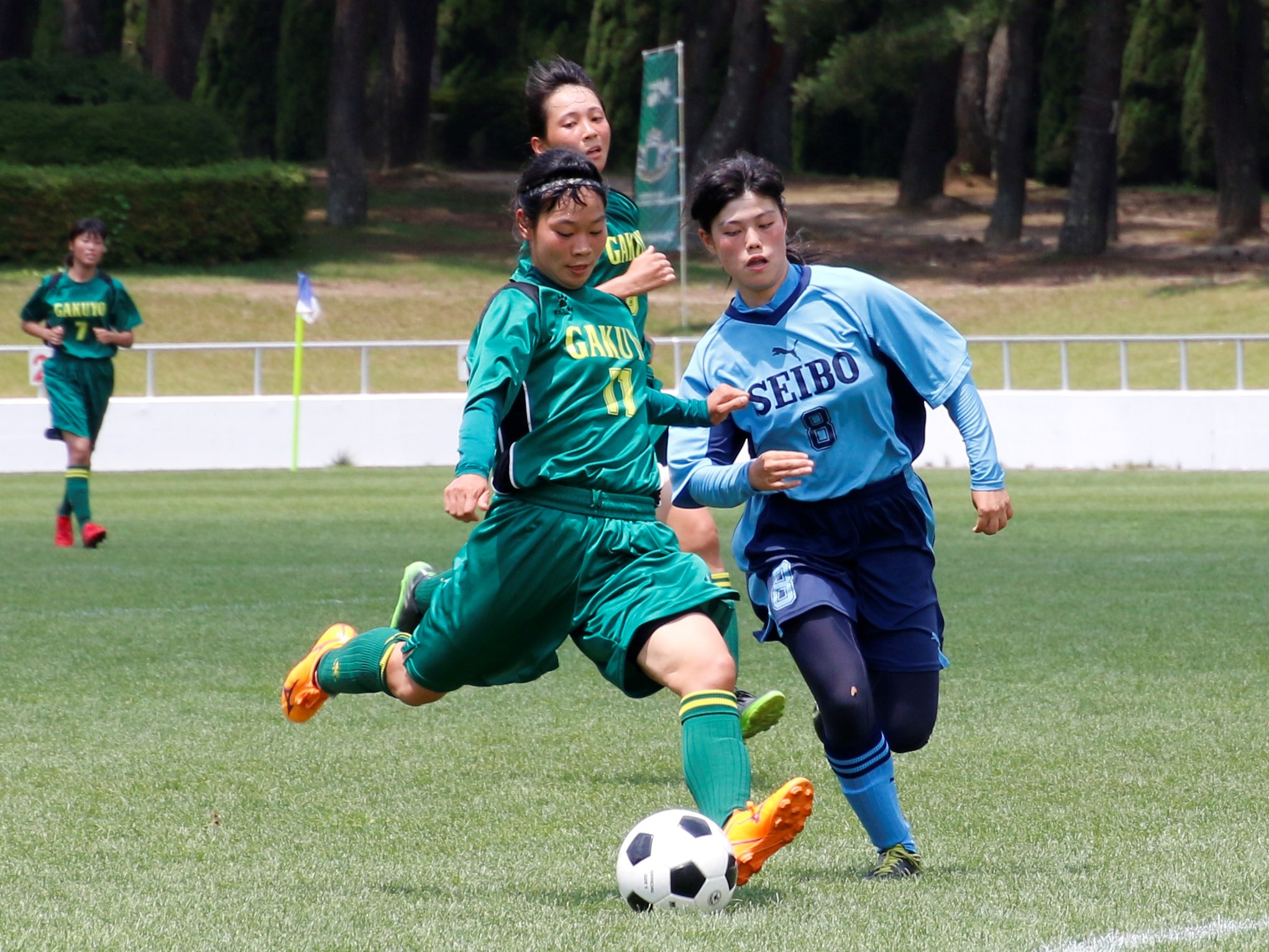 東北復興支援 川渕三郎杯おおまぴょんカップ女子サッカー大会を開催