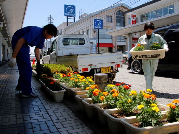 中央市街地を花で飾る　大町商工会議所「花通り事業」