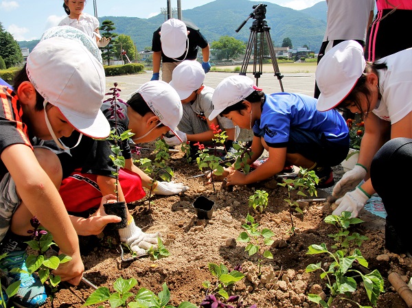 来年の信州花フェスタに向け 東小児童が大町図書館で花壇作り