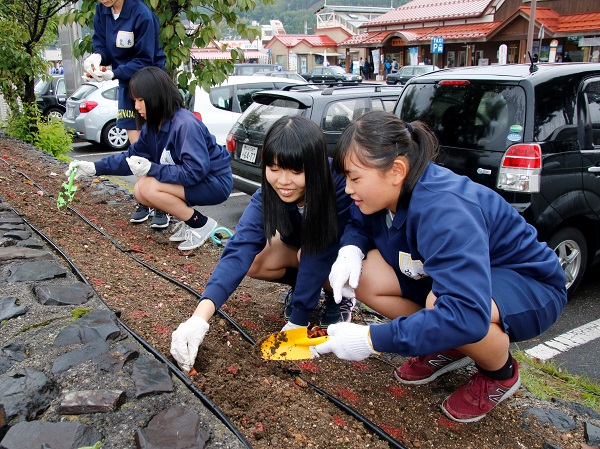来年開催の信州花フェスタの会場（大町駅前）に仁中生徒がチューリップなどを植栽