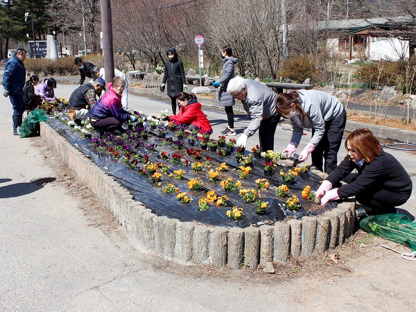 花フェス サテライト会場の大町温泉郷隣接の県道に紫陽花などを植栽
