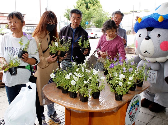 信州花フェスタ2019閉幕　記念にペチュニアをプレゼント