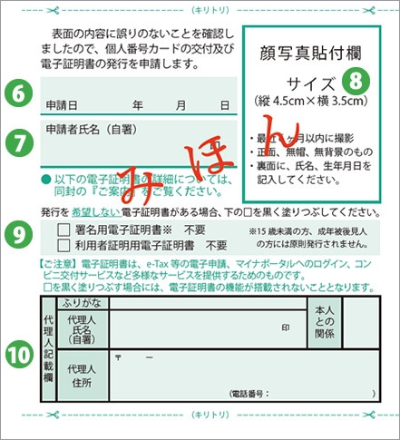 申請書見本　裏