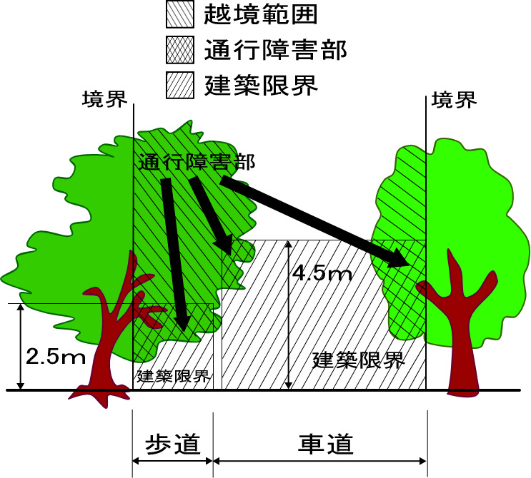 支障となる樹木の範囲